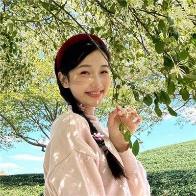 黑狐之风影